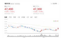 에코프로 올해는 적자 탈출 원년… 외국인, 20거래일 폭풍매수 눈길