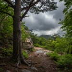 [25일(수) 주왕산 날씨] 밤부터 약한 비…낮 동안 흐림 속 더위 감돌아