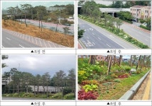 송파구, 위례성대로에 소나무 숲 조성…매력 정원으로 도시 관문 단장