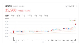 비메모리·MLD 전 부문 실적 개선…대덕전자, 종합 기판 강자로