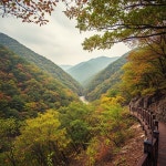 [내일(30일) 내장산 날씨] 맑은 오전, 오후부터 흐림…큰 일교차 주의
