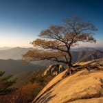 [내일(29일) 황매산 날씨] 아침 –4℃ 쌀쌀…낮 11℃ 맑고 산행 적합