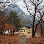 [내일(7일) 속리산 날씨] 오전 흐림 후 맑아짐…낮 기온 오르며 비교적 온화한 흐름