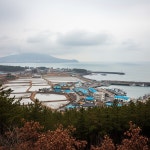 [제주 오늘~글피 날씨] 내일 새벽~오후 비…13일 산지는 비·눈