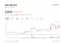 FDA가 찍었다…셀바스헬스케어, 의료 AI 대장주 되나