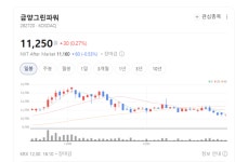 신재생에너지 공사 본격 확대… 금양그린파워, 풍력 중심 성장 가속