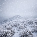 [11일(일) 지리산(노고단) 날씨] 최저 -11℃ 극한 추위에 많은 눈 예보, 체감온도 -18℃ 주의