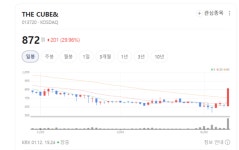 전기차·경량화 기대...THE CUBE&  위월드 엔지브이아이 한국피아이엠 주가 파죽지세