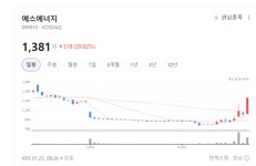 에스에너지 주가 폭주… 태양광·원전 테마로 쏠린 뭉칫돈