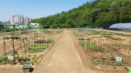서초구, 도심 속 힐링 공간 친환경 도시텃밭 분양… 2월 9일부터 모집