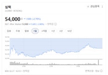 (주)심텍-(1-터보-2) | 원가 부담 끝 보인다…심텍, 2분기 부터 수익성 급반전