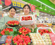 제철 딸기 소비 확대 나선 농협유통…하나로마트 할인 행사