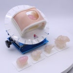 의료 AI 솔루션 기업 메디컬아이피, 서울대병원 흉부외과에 아낫델(ANATDEL) 공급