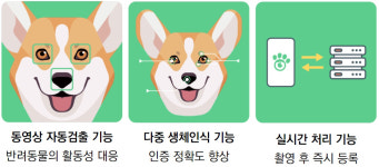 반려동물 등록도 안면인식으로!... 파이리코, 춘천시 바이오인식 기반 동물등록 한다