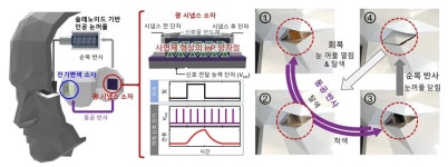 연세대 조정호 교수팀, 인공지능 소자로 사람 동공 반사·순목 반사 모사하는 생체 모방 인공안구시스템 개발