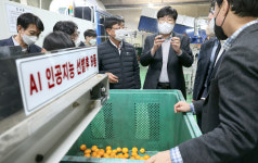 [포토 뉴스] 조재호 농촌진흥청장, 딥러닝 기반 농산물선별시스템 적용 유통사업소 방문