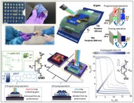 경상국립대 김윤희 교수팀, 가천대 연구팀과 광전자식 PIM 소자 개발...차세대 AI 인프라 위한 핵심 기술로 주목