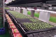 파머스랩, 실용성과 수익성 갖춘 한국형 수직농장 기술 글로벌 진출 박차