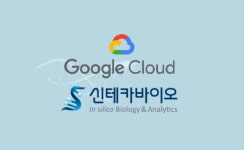 구글 클라우드, 신테카바이오에 글로벌 비즈니스 확장을 위한 쿠버네티스 환경 구축 지원