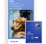 인투씨엔에스, 동물병원 진료 설명을 AI가 대신 전한다… 인투펫 AI 리포트 고도화