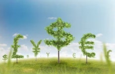 A gold rush for ‘green finance’ risks changing our relationship to nature