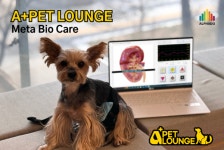 알파도 A+펫라운지, 반려동물 건강관리 전신 스캔 분석 서비스 제공