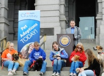 [CE Case Study] 펫츠마트_유통업의 미래, 문제 해결 중심