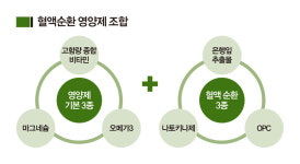 [CEO의 건강학] 혈액 순환 영양제 가이드