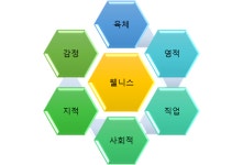 인도네시아 웰니스와 건강에 대한 소비행태