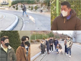 '개훌륭' 강형욱, 훈련 중 목줄 끊어진 돌발상황 '개통령표 임기응변'