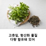 고춧잎, 항산화 물질 다량 함유돼 있어