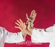[합기도] 우리나라의 무술 합기도의 유래와 현재