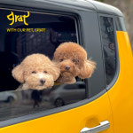 그랫(grat), 3월 펫택시 시범 운행 실시