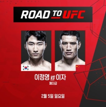 '코리안 타이거' 이정영, '로드 투 UFC' 결승서 이자와 격파 ··· 