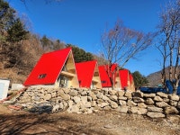 독채 애견 펜션 무아레 도그라운드 5월 오픈