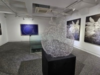 박용일 작가 초대전, 갤러리 H서 50여 점 작품 선보여 