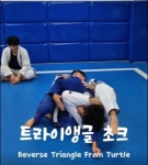 [주짓수 기술] 트라이앵글 초크 / 리버스 트라이앵글 프롬 터틀/인버티드 트라이앵글