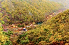 단풍명소 1위 내장산 국립공원 케이블카 등산코스 내장사 절정시기는?