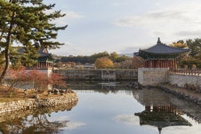 경주 가볼만한곳 국립경주박물관·보문관광단지·천년숲정원 마지막 단풍 시즌