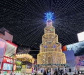 2025 남포동 광복로 겨울빛트리축제 위치 점등시간 부산 빛축제