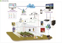 스마트팜 조성 활기…시설원예·축사면적 확대