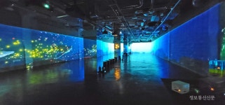 요요인터렉티브, 고래, 꽃이되다 인터렉티브 미디어아트 전시 진행