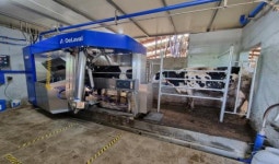 제주시, 스마트 축사 설치농가 증가세