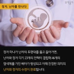 [카드뉴스] 2등 정자가 임신한다