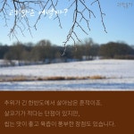 [카드뉴스] 내가 먹은 돼지, 정말 토종일까?