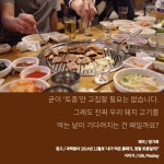 [카드뉴스] 내가 먹은 돼지, 정말 토종일까?