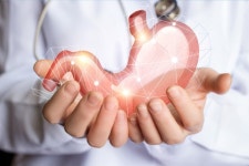 [짬짜면 과학 교실] 몸을 살아 있게 하는 요소들: 인체의 구조와 기능