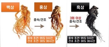 인삼 9번 찌고 말린 흑삼 피부미용에 효과