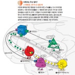 뇌는 왜 작심삼일에 더 익숙할까