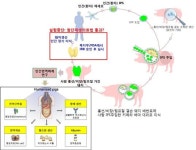 돼지 몸에 인간 장기 현실화 성큼…국내 기관 생명윤리위 첫 통과